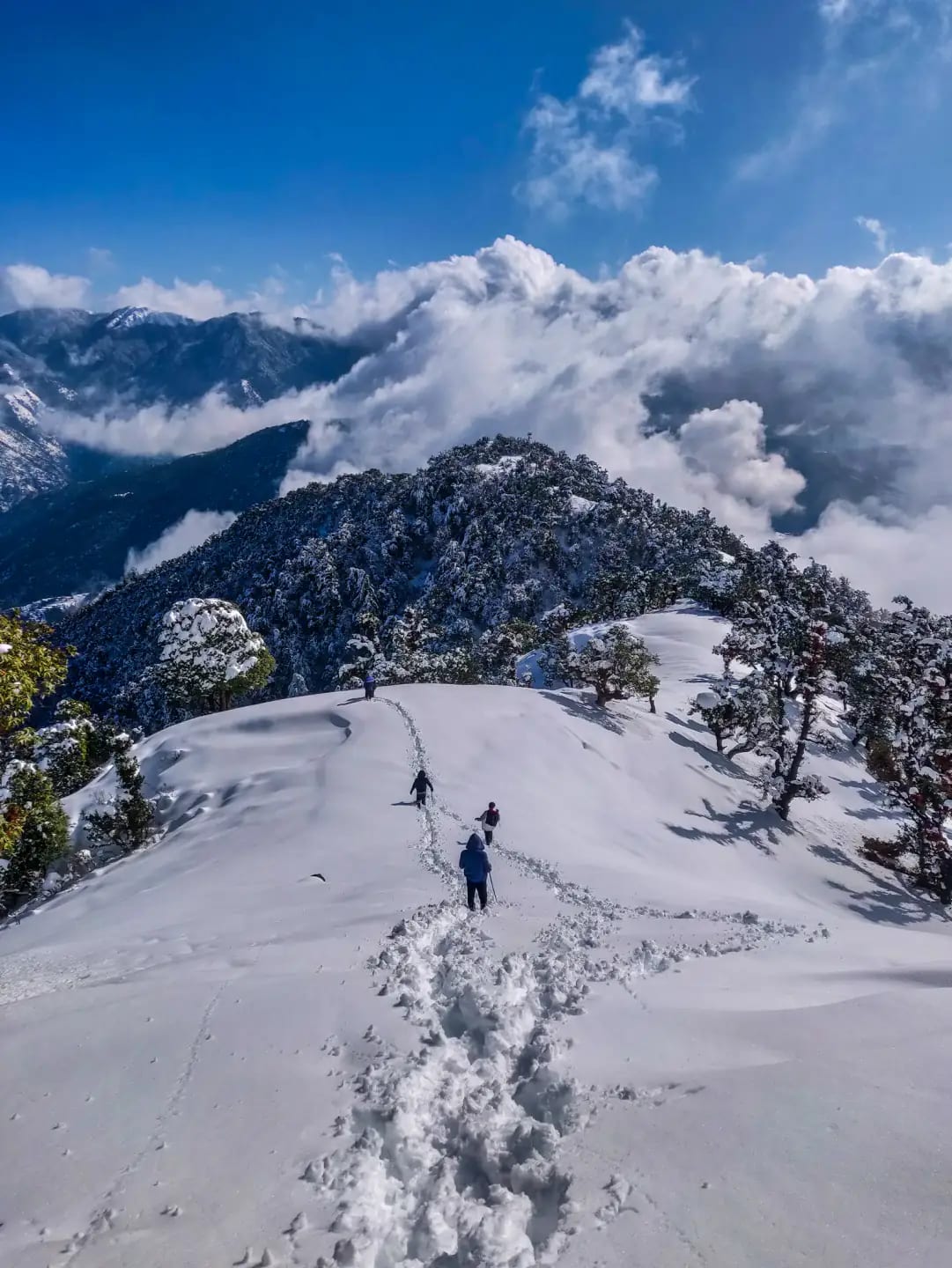 Laid-Back Manali & Hampta Trail — 3 Day (Chandigarh Pickup)