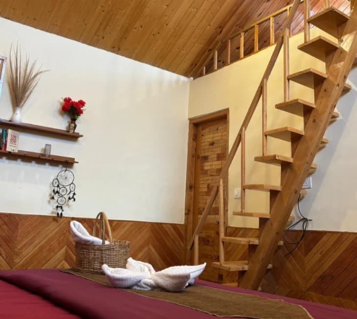 Himalayan Pines Resort - 2